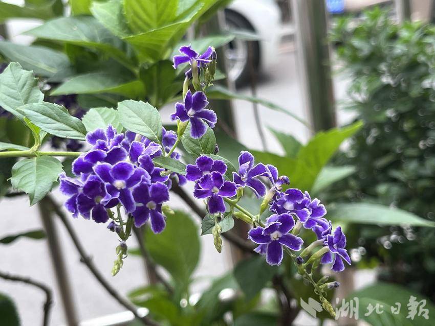 星力注册送分
